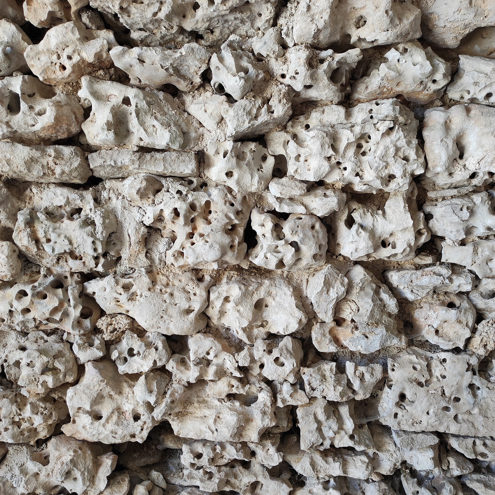 Texture de calcaire perforé, mur bourguignon